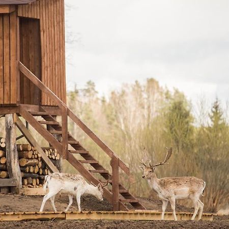Вілла Arciau Gamtos Anyksciai Kurkliai Екстер'єр фото
