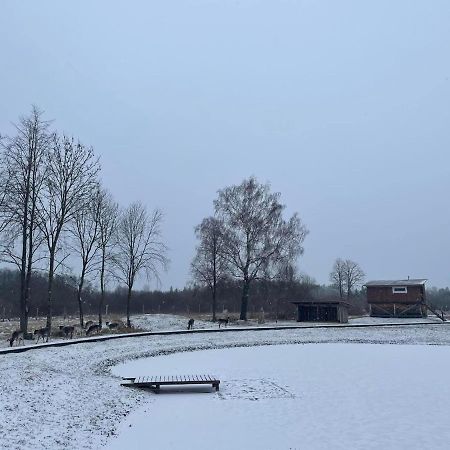 Вілла Arciau Gamtos Anyksciai Kurkliai Екстер'єр фото