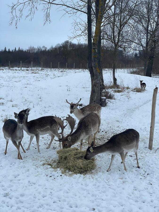 Вілла Arciau Gamtos Anyksciai Kurkliai Екстер'єр фото